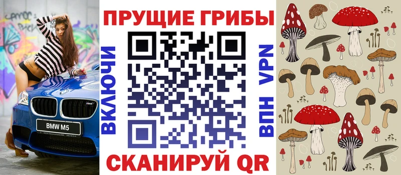 купить наркоту  Приозерск  Галлюциногенные грибы Psilocybine cubensis 