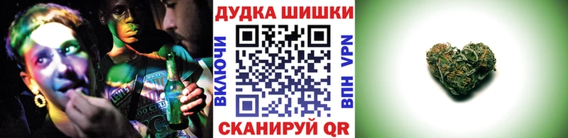 МАРИХУАНА планчик  Приозерск 